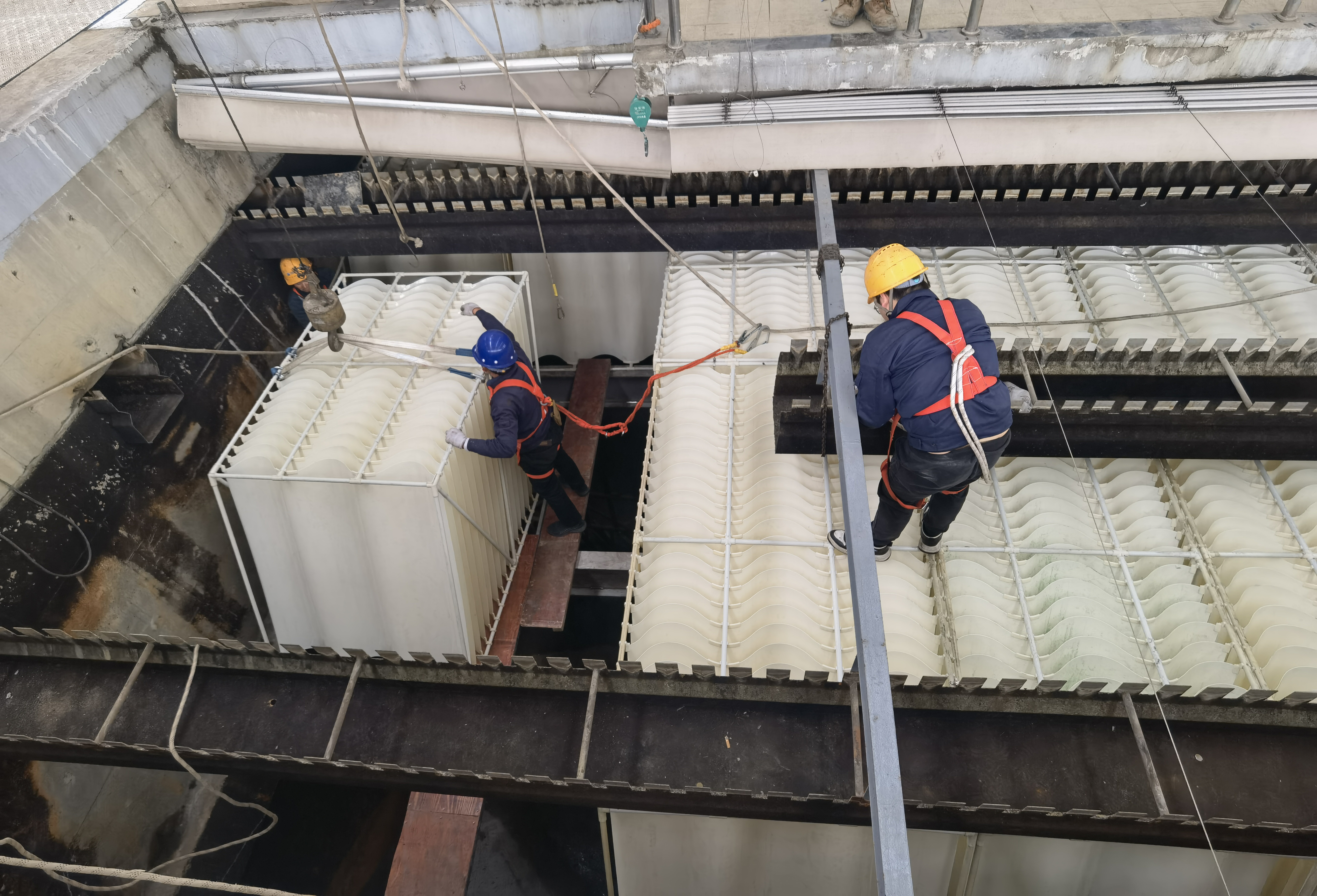 65a421a577ef445beafa3c4928affc2